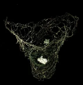 Spider Vessel with Glass